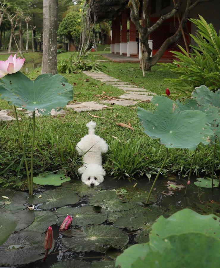 Les Hameaux De L'Orient Hotell Ho Chi Minh-staden Exteriör bild