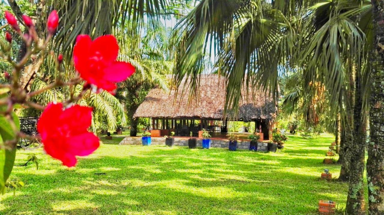 Les Hameaux De L'Orient Hotell Ho Chi Minh-staden Exteriör bild